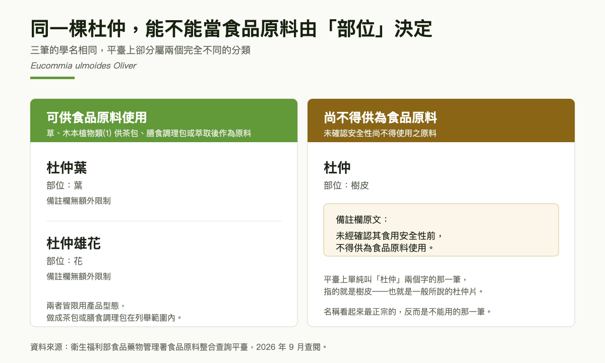 杜仲三個部位的對照圖：左側綠色區塊為杜仲葉（部位葉）與杜仲雄花（部位花），標示草木本植物類第一類供茶包、膳食調理包或萃取後作為原料；右側土黃色區塊為杜仲（部位樹皮），標示未確認安全性尚不得使用之原料，備註未經確認其食用安全性前不得供為食品原料使用