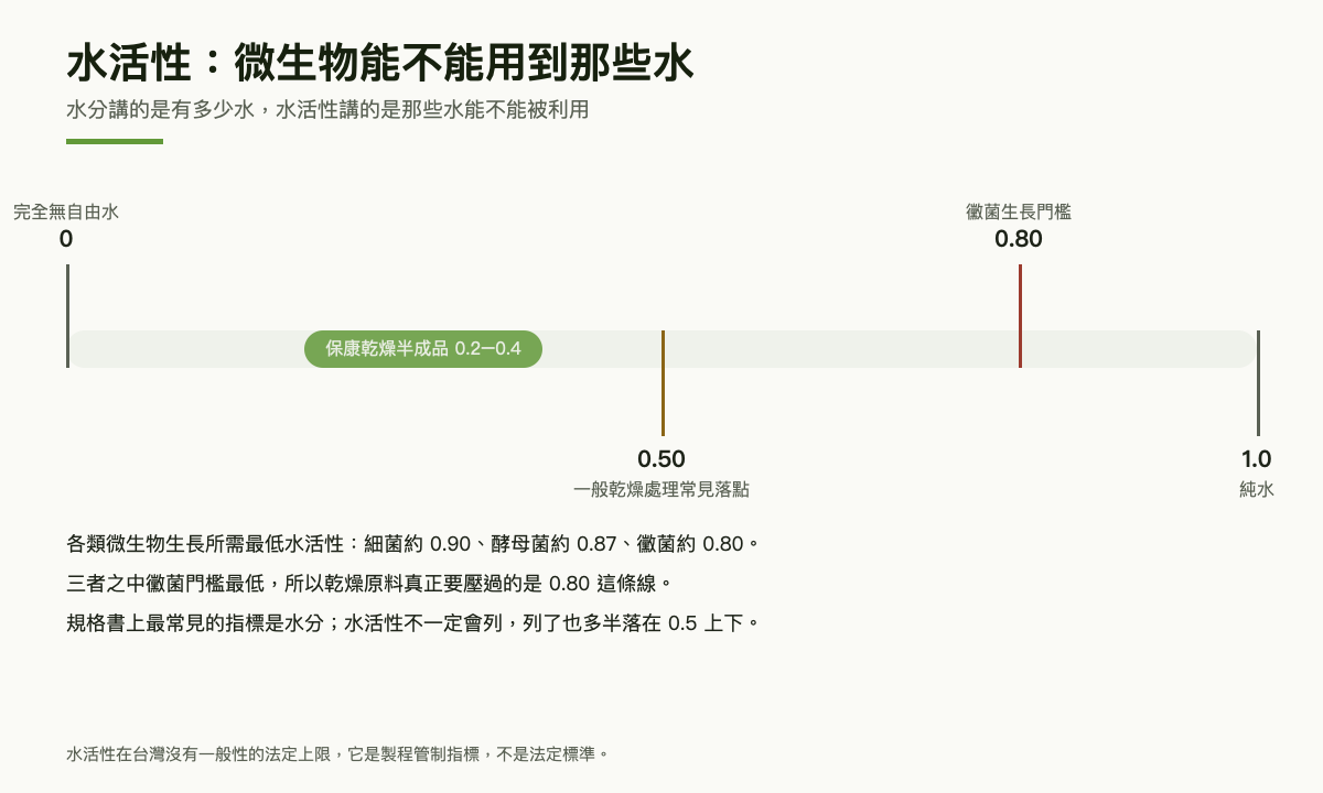 水活性刻度圖：保康乾燥半成品落在 0.2 至 0.4，一般乾燥處理常見落點約 0.5，黴菌生長門檻 0.80，並註明細菌約 0.90、酵母菌約 0.87