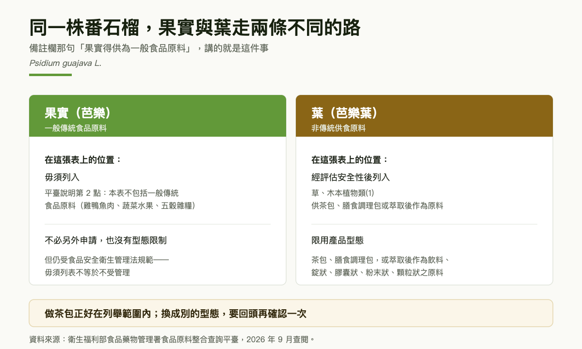 番石榴兩條管理路徑對照圖：左側綠色區塊為果實也就是芭樂，標示屬蔬菜水果類的一般傳統食品原料，毋須列入本表，備註欄明寫果實得供為一般食品原料；右側土黃色區塊為葉也就是芭樂葉，標示屬非傳統供食原料，經評估安全性後列入草木本植物類第一類，限茶包、膳食調理包或萃取後型態