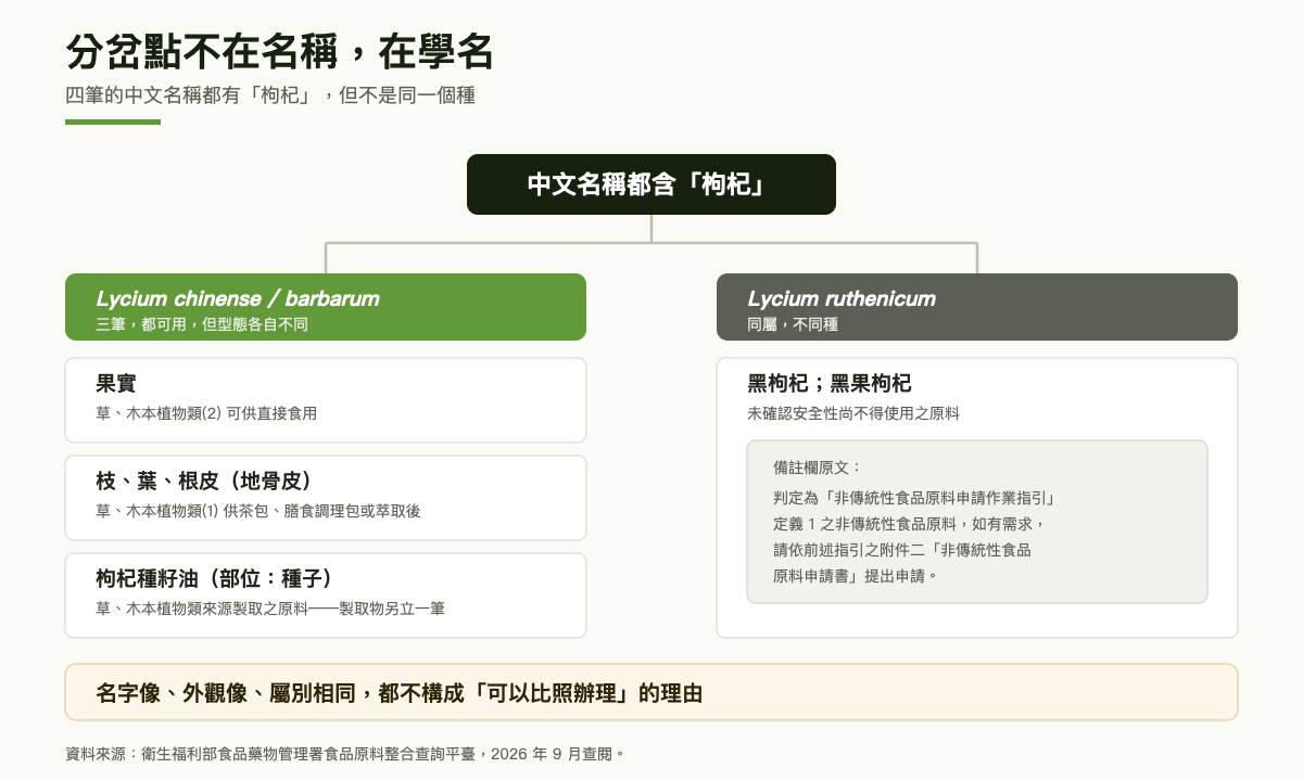 枸杞四筆登載依學名分岔的樹狀圖：頂端是中文名稱都含枸杞，往下分成兩支；左支學名 Lycium chinense 與 barbarum 底下有果實列在第二類可供直接食用、枝葉根皮也就是地骨皮列在第一類供茶包膳食調理包或萃取後、枸杞種籽油以種子為部位列在來源製取之原料；右支學名 Lycium ruthenicum 是黑枸杞，列在未確認安全性尚不得使用之原料，備註載明可依非傳統性食品原料申請作業指引附件二提出申請