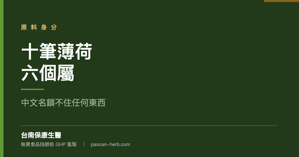 你說的薄荷是哪一種薄荷