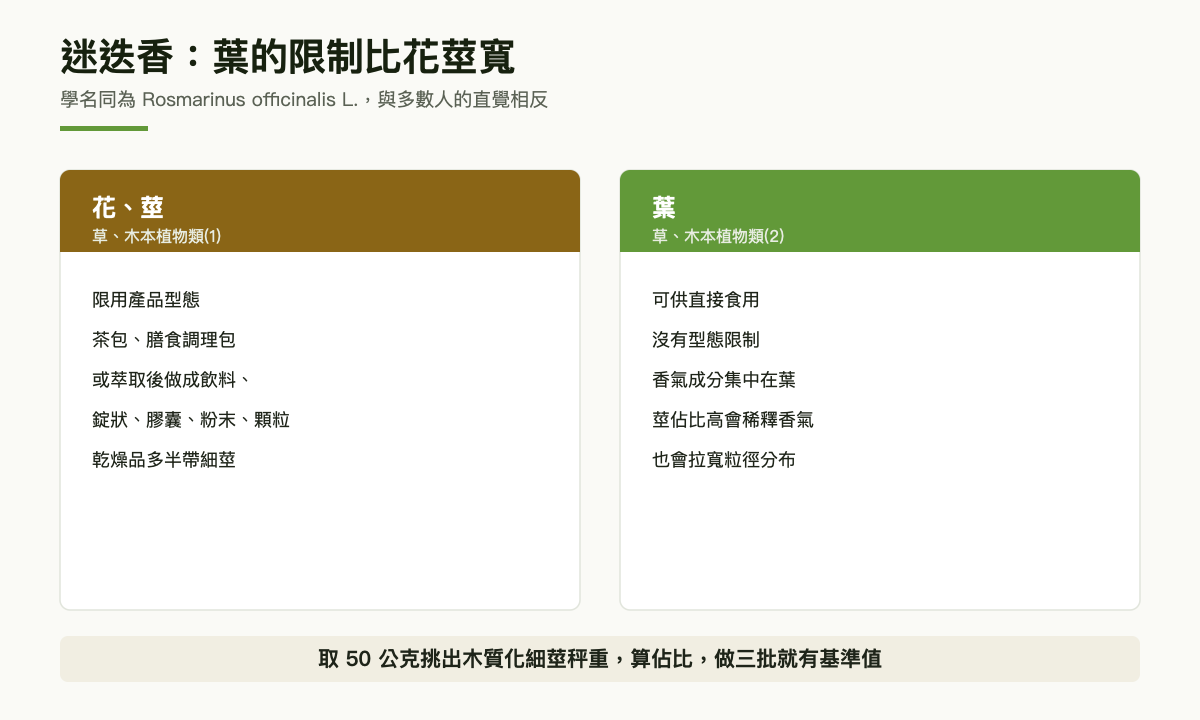 對照圖：迷迭香的花與莖屬限用產品型態，葉屬可供直接食用