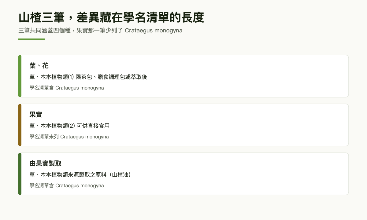 三層卡片：山楂的葉花、果實與油各屬一類，並標示各自的學名清單是否含單子山楂
