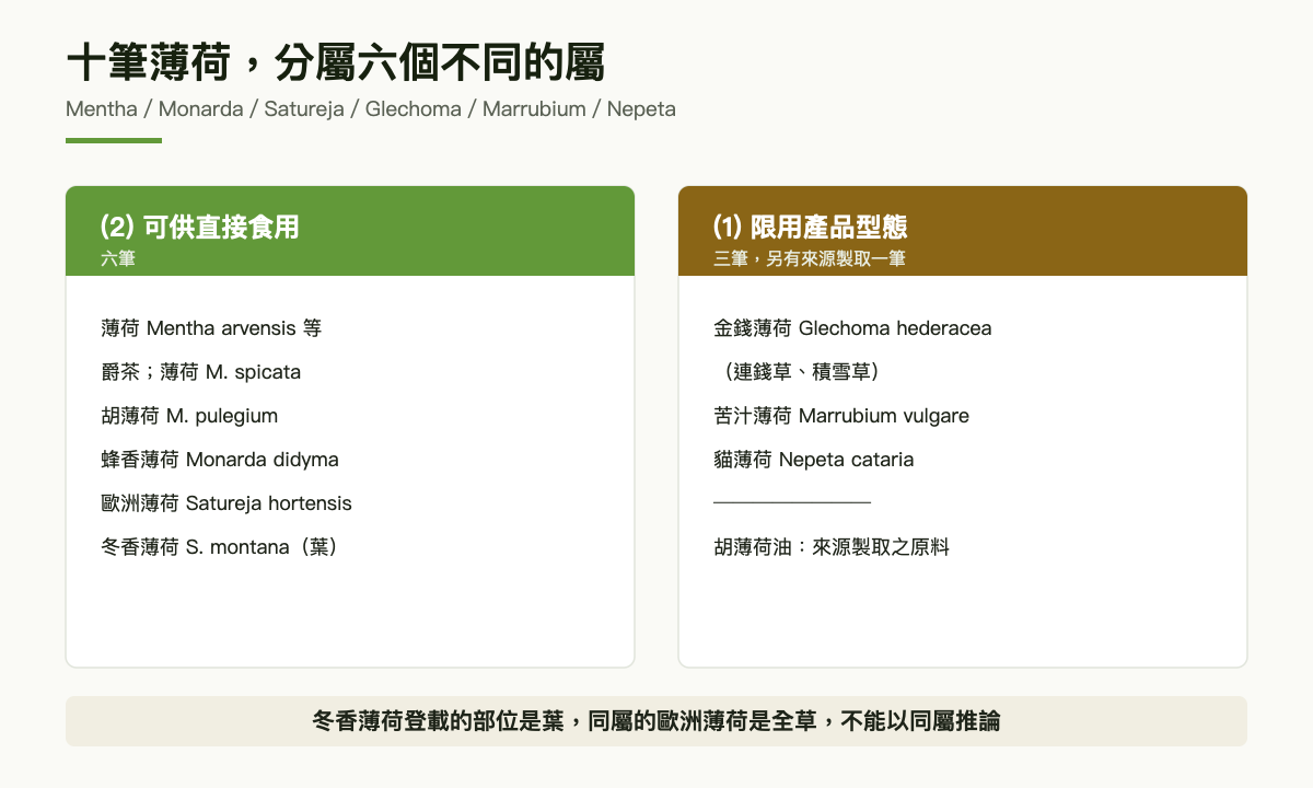 對照圖：薄荷十筆依類別分成可供直接食用六筆與限用產品型態三筆，另有來源製取之原料一筆