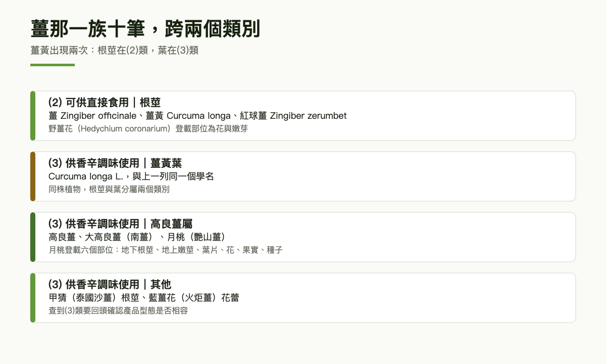 分層卡片：薑族原料依類別與部位分列，薑黃根莖在第二類、葉在第三類