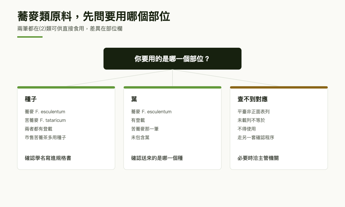 決策圖：依使用部位分流，蕎麥的葉與種子有登載，苦蕎麥僅種子有登載