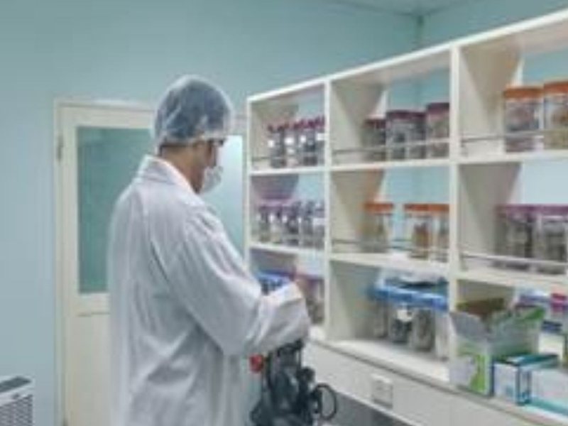Formulation work at the raw material shelves in Pao Can Biomedical's R&D room