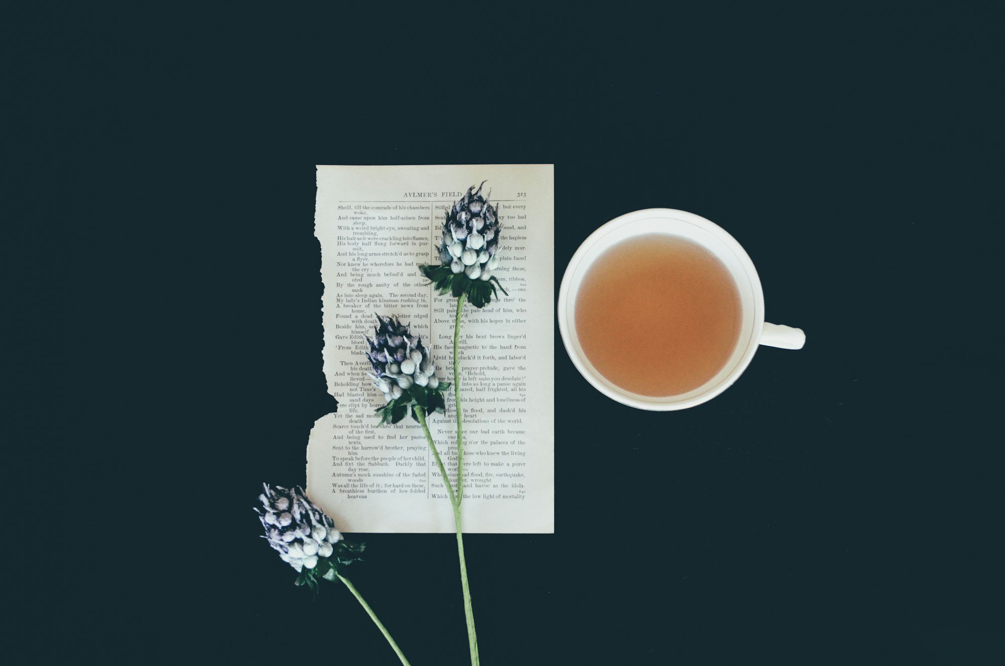 深色桌面上放著一杯草本茶湯與乾燥花材